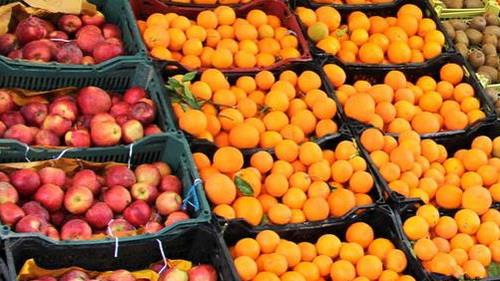 آغاز توزیع میوههای دولتی برای عید